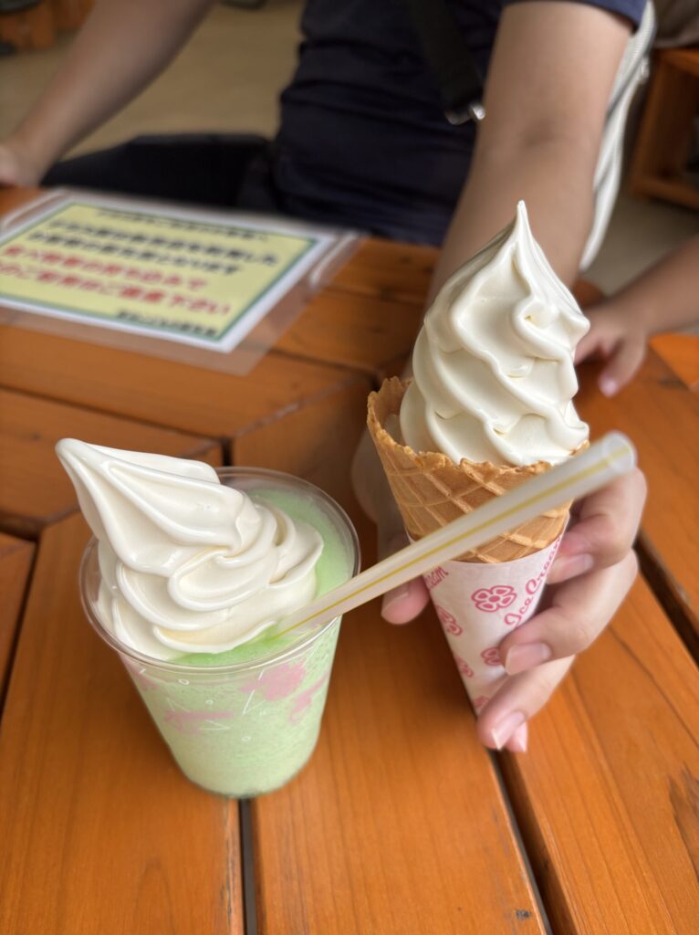 こどもの国のソフトクリームとメロンソーダシャーベット。混んでいるのでお早めに