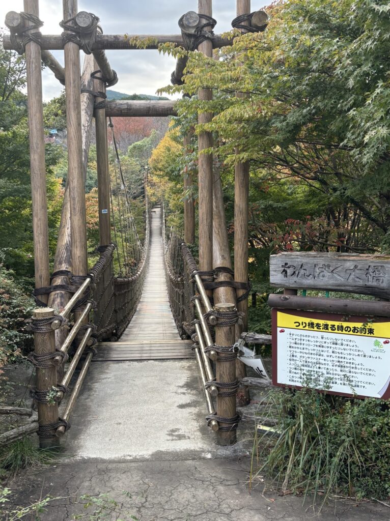 こどもの森わんぱくらんど内のわんぱく大橋という吊り橋