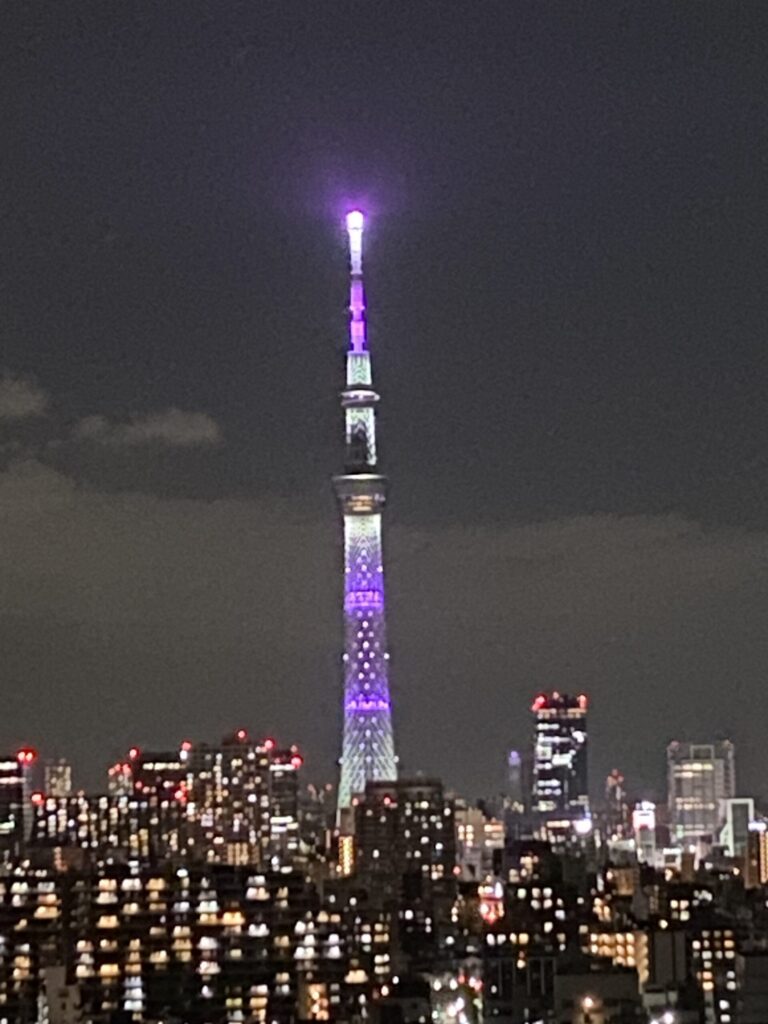 ホテルイースト21の廊下から見れるスカイツリー。点灯しておりきれい